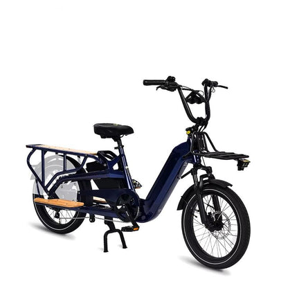 OEM New 250W 500W 750W 1000W 36V 48V Dual Lithium Battery Fat Tire Hub Motor Family Electric Cargo Hybrld Bike for Adult