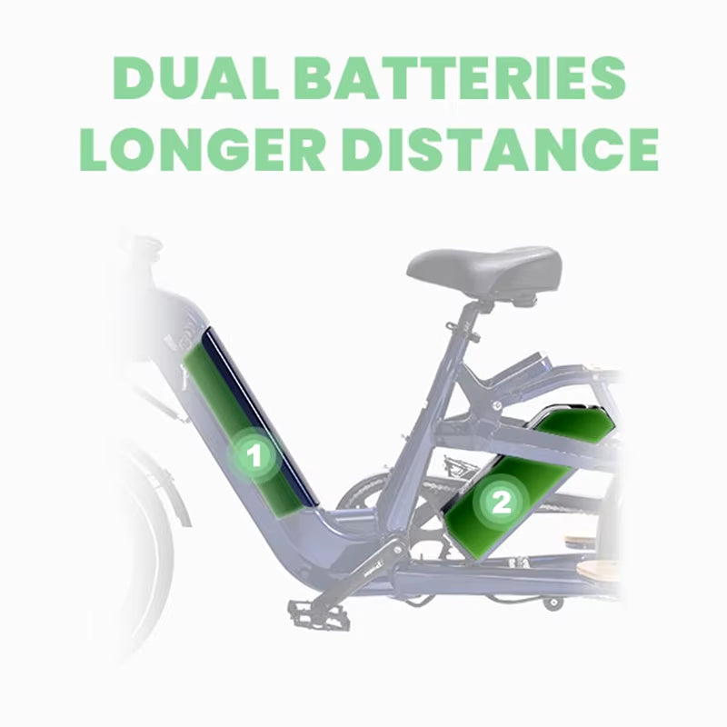 OEM New 250W 500W 750W 1000W 36V 48V Dual Lithium Battery Fat Tire Hub Motor Family Electric Cargo Hybrld Bike for Adult